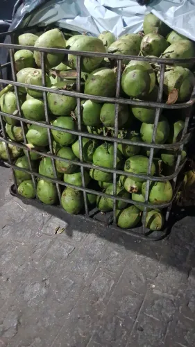 COCO VERDE ATACADO E VAREJO