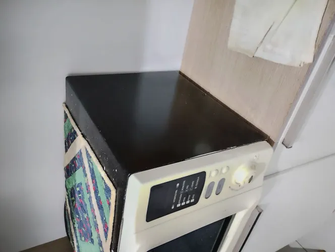 Microondas Grande Potente 110v