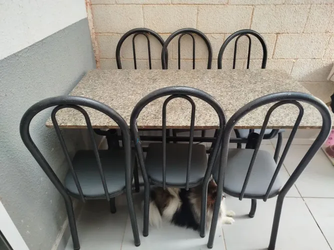 Mesa com 6 cadeiras 