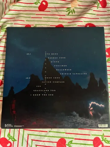 Phoebe Bridgers - Punisher | Vinil LP