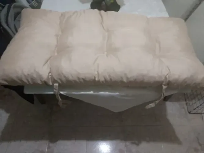 2 Almofadas grande de cadeira