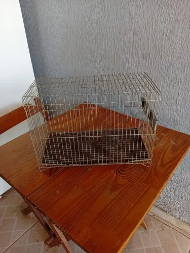 Gaiola para pássaros!