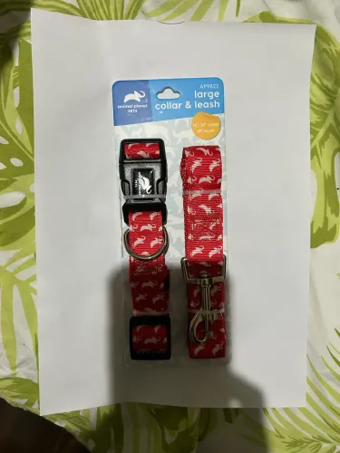 Kit coleira e guia para cachorro - tam G