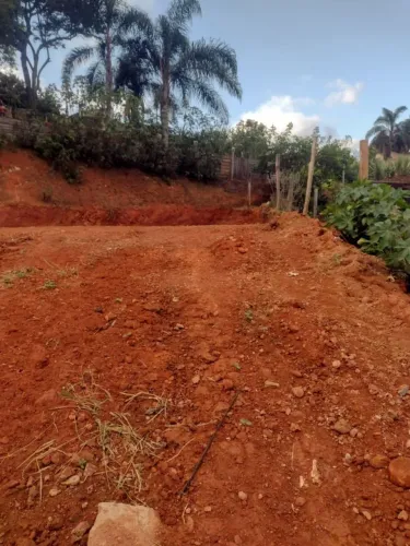 Terreno