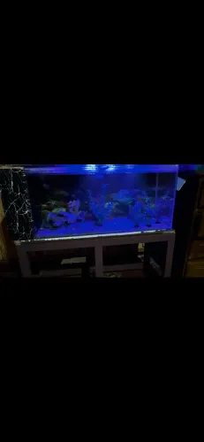 Vendo aquário