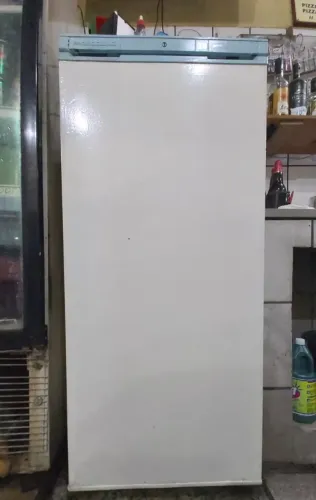Freezer Prosdócimo 110V