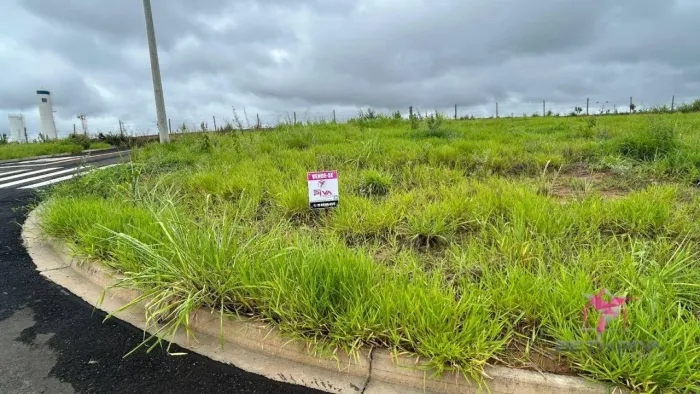 Terreno à venda, 282 m² por R$ 150.000,00 - Jardim Jatobá - Santa Cruz da Conceição/SP
