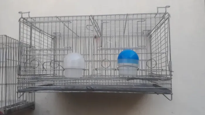 Vendo gaiolas muito boas. Baratas