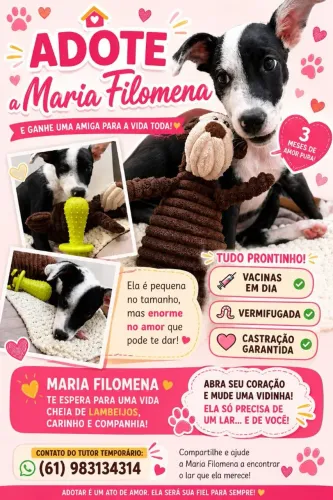 Me AUdota?