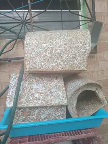 Casinha para porquinho da india