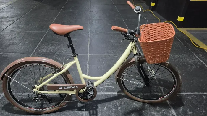 Bicicleta estilo retrô com cestinha