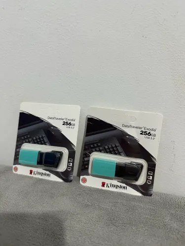 Pen drive Kingston 256gb