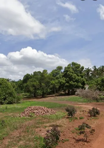 Propriedade com nascente de água União Piauí 64 hectares possui escritura e CAR