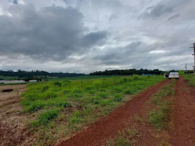 Chácara com 1 dormitório à venda, 1500 m² por R$ 550.000,00 - São Salvador - Cascavel/PR