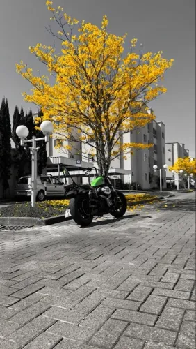 Forty eight 1200 - Harley Davidson Sportster