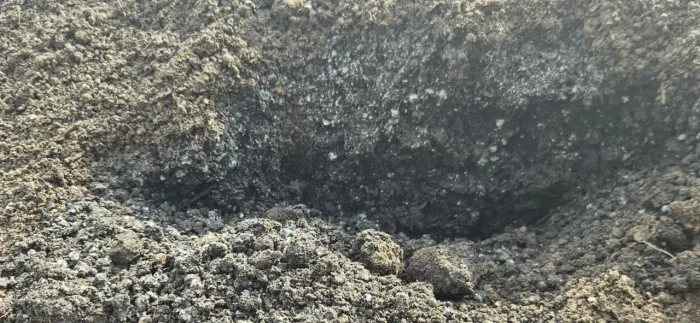 Composto organico biofermentado bokashi