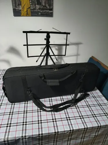 Violino