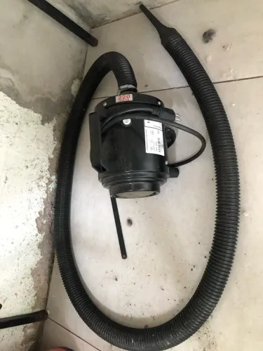 Banho e tosa 