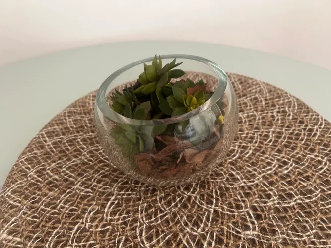 Vaso decorativo suculentas 