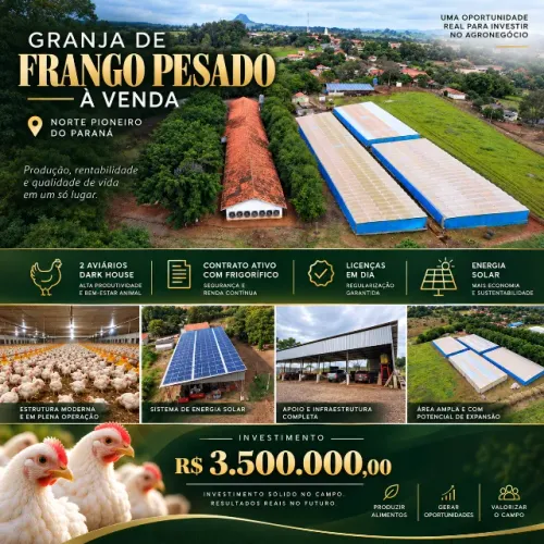 GRANJA DE FRANGO PESADO PRODUTIVA À VENDA - NORTE PIONEIRO DO PARANÁ