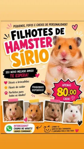 Hamster