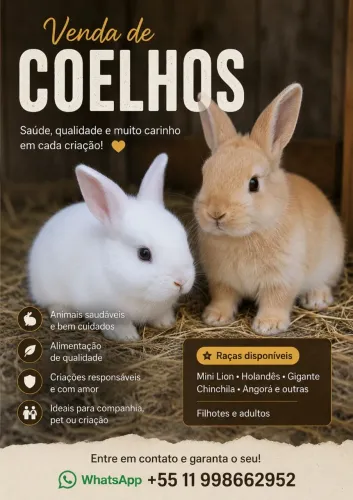Filhotes de coelhos