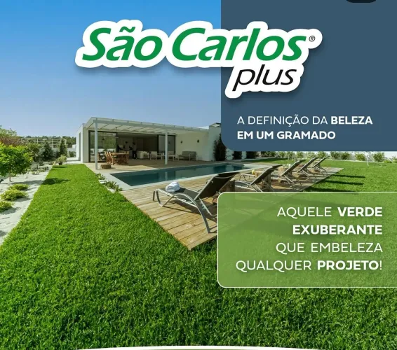Renove seu Jardim com Grama São Carlos plus