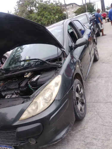 Peugeot 307 Soleil/ Presence 1.6/1.6 Flex 16V 5P 2010