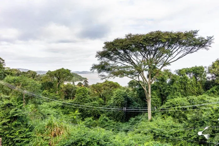 TERRENO, 1.236m, SETIMO CEU, PORTO ALEGRE, RS