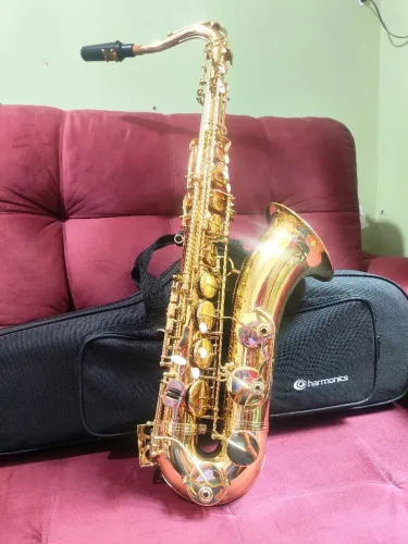 Saxofone Tenor Harmonics Seminovo