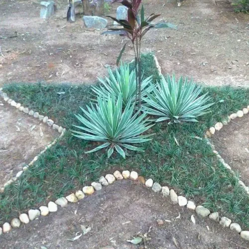 Prestação de serviços jardinagem, paisagismo, pintura, manutenção elétrica e hidráulica 