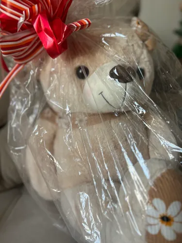 Urso de pelúcia grade 