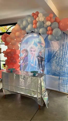 3 Painéis de tecido para festa da frozen 