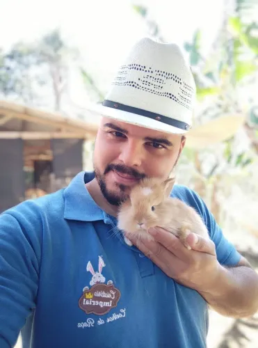 Mini Coelho - Coelho Anão - Coelho Gigante