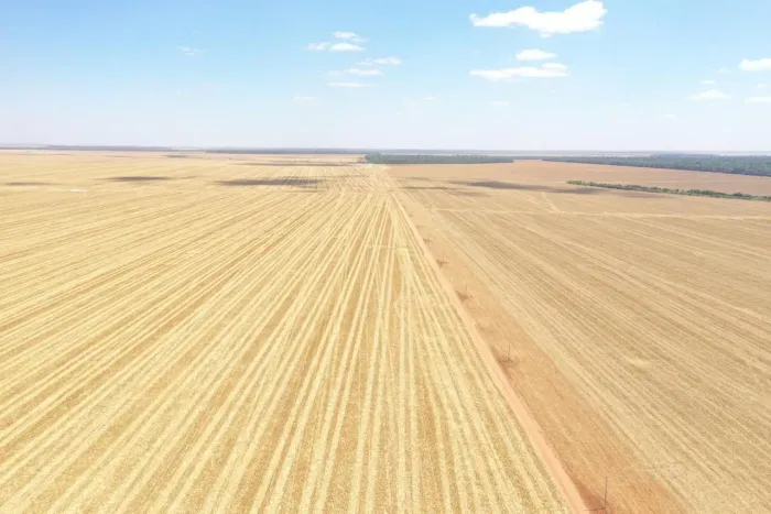 Fazenda 7.200 hec em querência, plantando 3.700hec R$:300 milhões. Em 12 anos