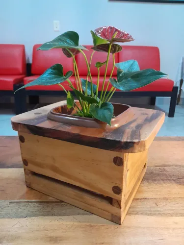 Cachepot de madeira para plantas / decoração 