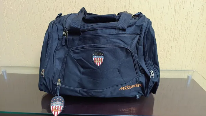 Mala de Viagem ? Mochila McQueen 