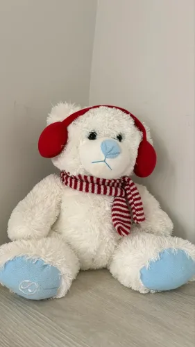 Urso cacau show