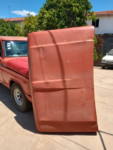 Capo Ford F1000