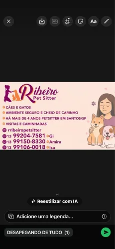 Petsitter em Santos
