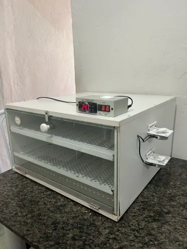 Chocadeira 240 ovos automática golden 