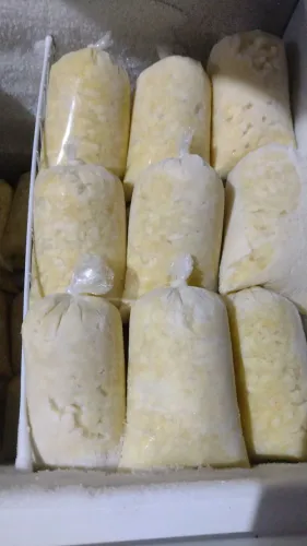 Polpas de cupuaçu
