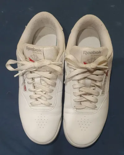 Reebok classic 37