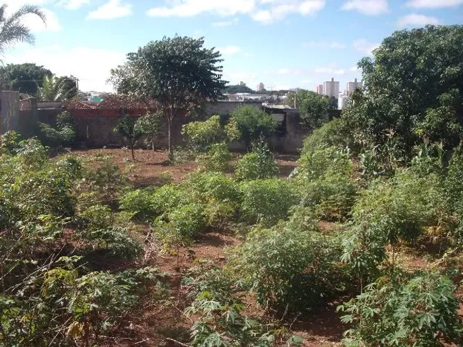 Terreno Padrão em Uberlândia