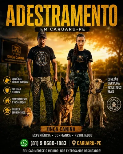 Adestramento em Caruaru 