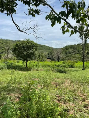 Fazenda Santa Cruz de Goiás