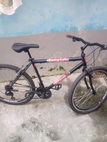 Bicicleta