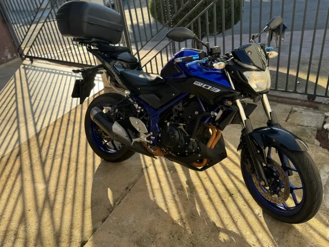 MT 03