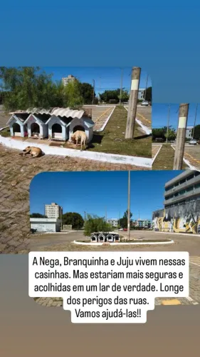 Doação responsável