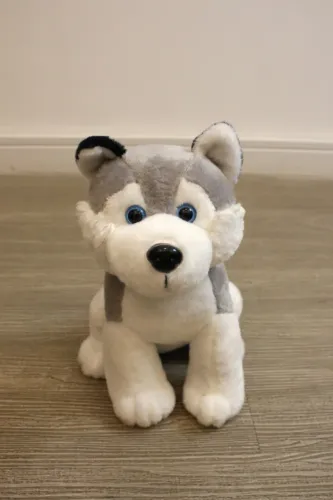 Cachorro Husky de Pelúcia | Excelente Estado